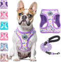 BEAUTYZOO Step in Dog Harness and Leash Set, Floral Pattern Reflective Dog by BEAUTYZOO