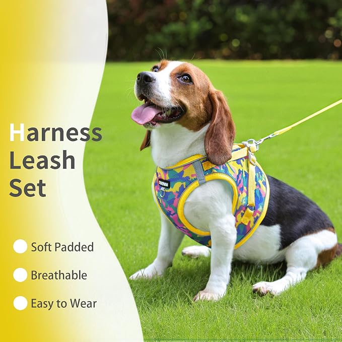 Step in Dog Harness with Leash Set, Adjustable Soft Padded and Breathable Mesh - Image 2