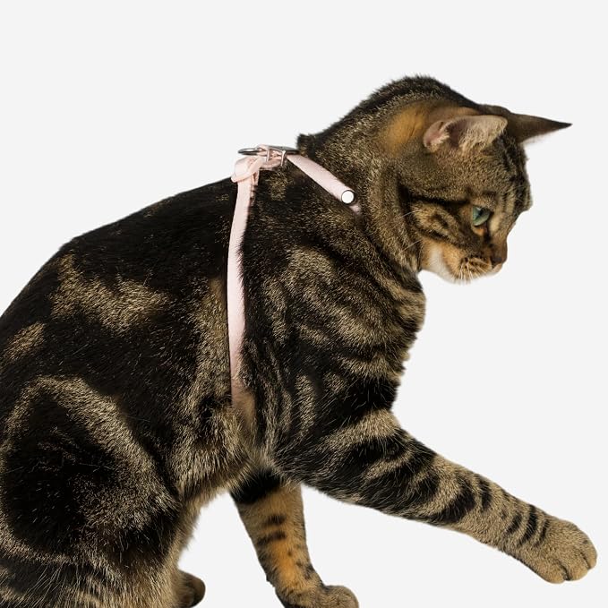 Escape Proof Cat Harness Anti-Choke Quick Release Adjustable QR Code Soft Nylon - Image 8