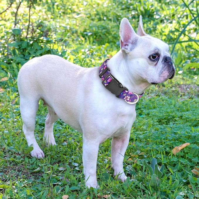 Reflective Dog Collar Padded - Image 5