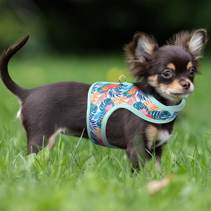 Mile High Life Dog Harness, Air Mesh Floral Vest Harness - Image 8