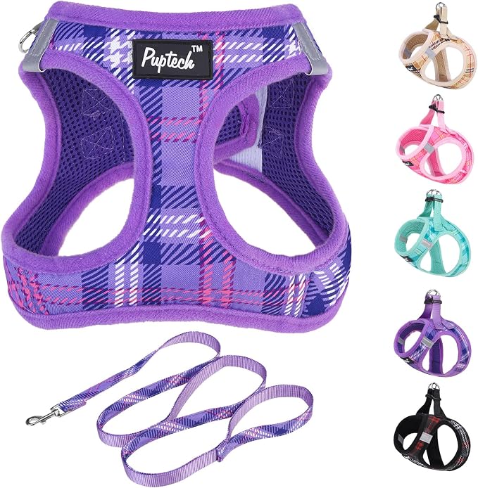 PUPTECK Dog Harness and Leash Set by PUPTECK