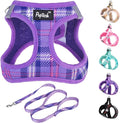 PUPTECK Dog Harness and Leash Set by PUPTECK