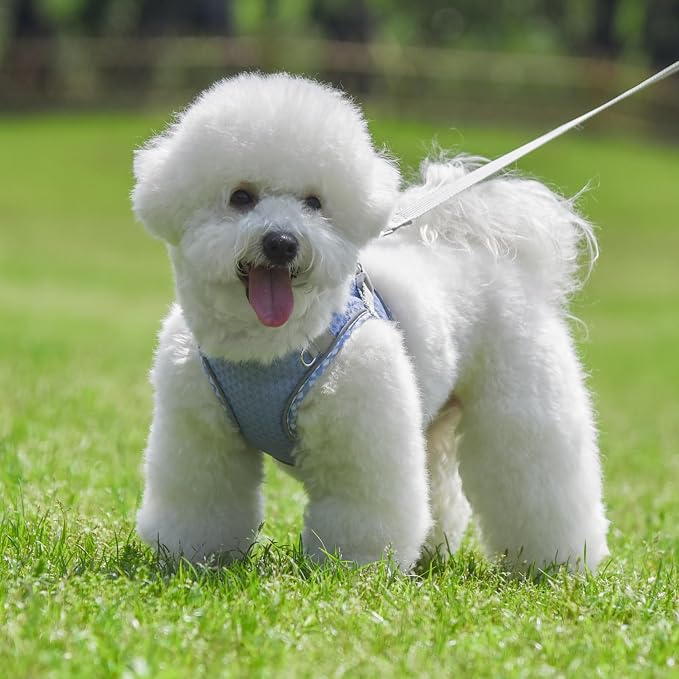 Soft Dog Harness and Leash Set for Walking, Summer Step in Vest Harness - Image 8