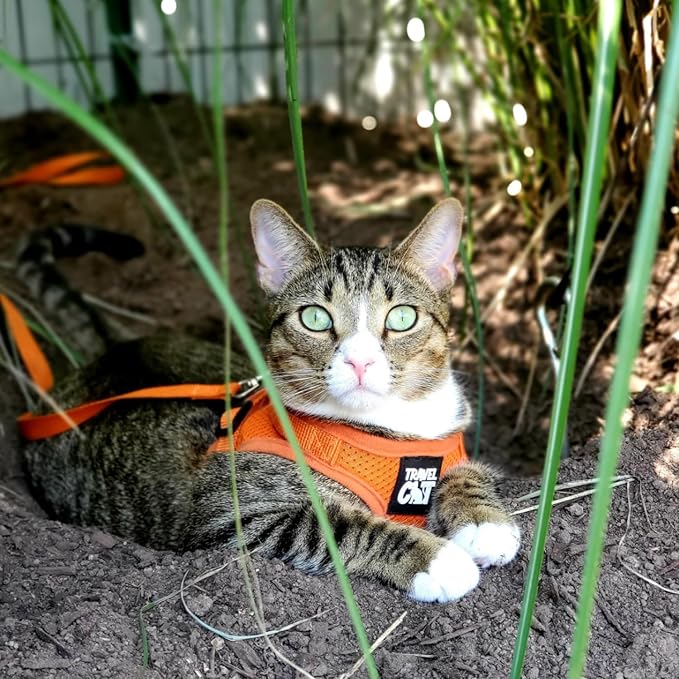 Travel Cat Harness and Leash Set - Image 9