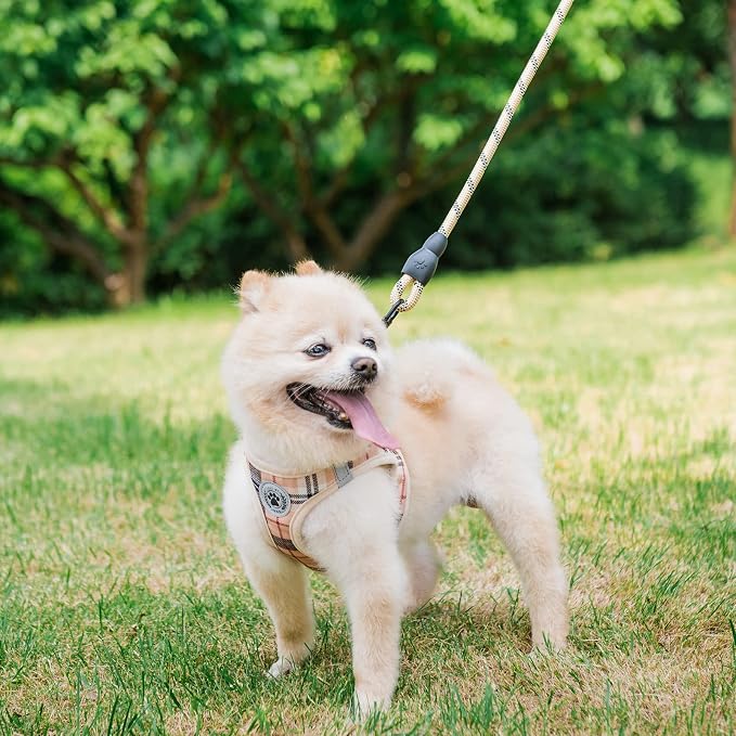 BEAUTYZOO Small Dog Harness and Leash Set, Step in No Choke No Pull Soft Mesh - Image 8