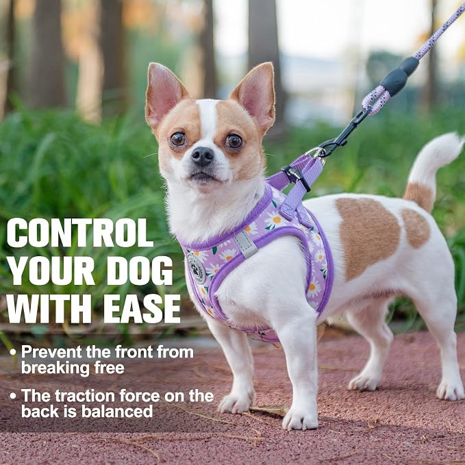 BEAUTYZOO Step in Dog Harness and Leash Set, Floral Pattern Reflective Dog - Image 7