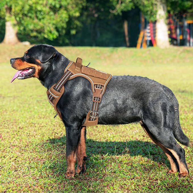 Heavy Duty Tactical Dog Harness - Image 2