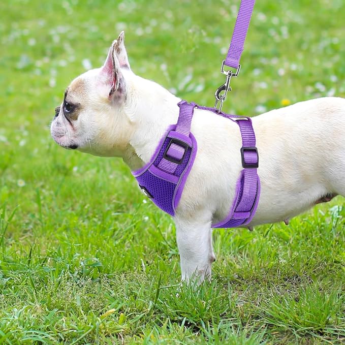 PUPTECK Small Dog Harness and Leash Set, No Pull Adjustable Puppy Cat Harness - Image 6