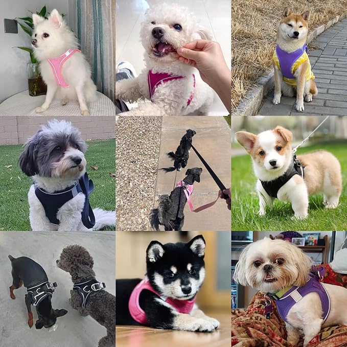 Dog Harness with Leash Set, No-Pull Step-in Reflective Pet Harness with 1 Leash - Image 6