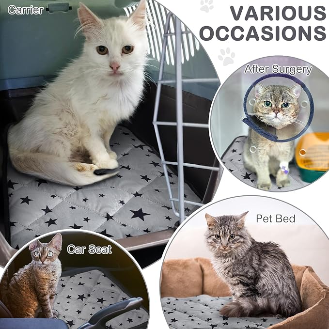 Namalu 4 Pack Self Warming Cat Bed Self Heating Cat Mat Star Pattern Soft Dog - Image 3