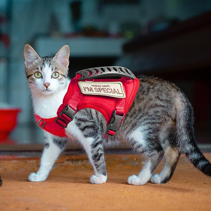 AIWAI Tactical Cat Harness for Walking Escape Proof, Adjustable Pet Vest Harness - Image 3