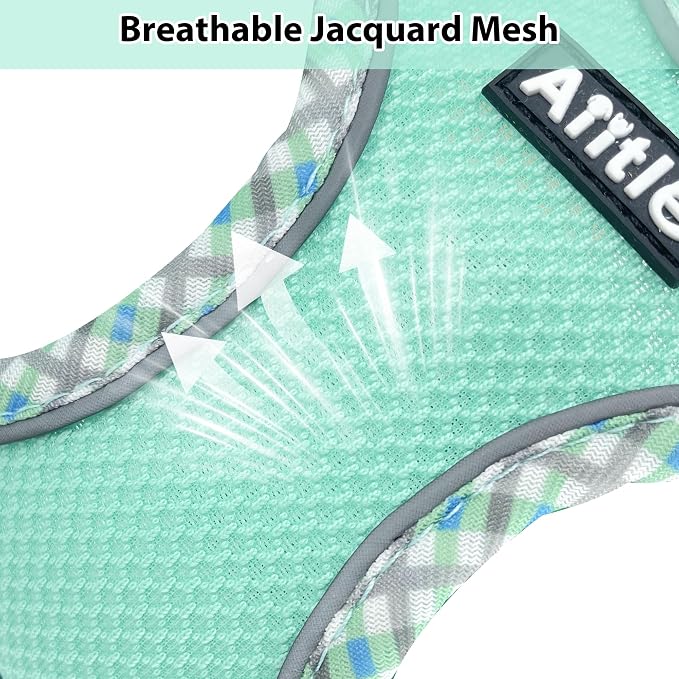 AIITLE Dog Harness and Leash Set - Image 2