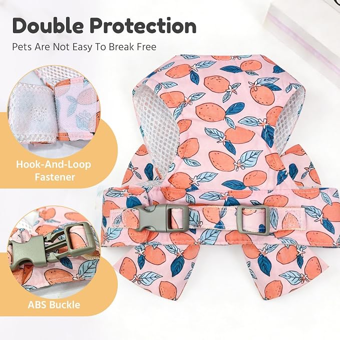 BAEJMJK Dog Harness and Leash Set - Image 6