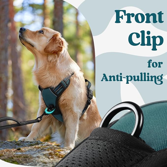 rabbitgoo Dog Harness Medium Sized, No Pull Pet Harness - Image 7