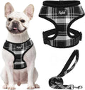 PUPTECK Soft Mesh Dog Harness and Leash Set Pet Puppy Cat Comfort Padded Vest by PUPTECK