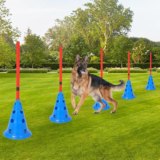 Dog Agile Hurdle Cone Set, Dog Training Agile Equipment - Image 6