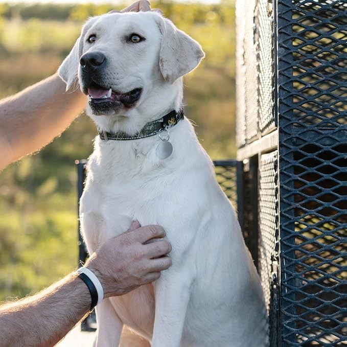 Browning Classic Preformance Webbing Pet Collar, Fully Adjustable, Available in - Image 4