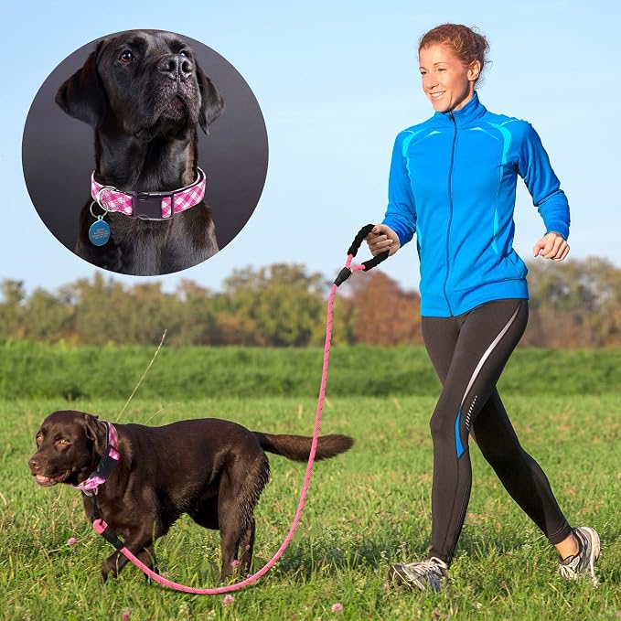 Reflective Dog Collar Padded - Image 4