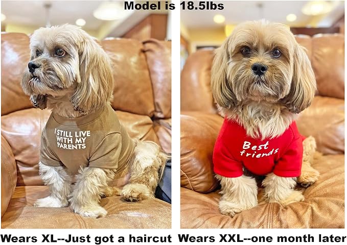Cute Dog Clothes, T Shirt for Medium and Small Dogs Girl Boy, Puppy.Breathable - Image 4