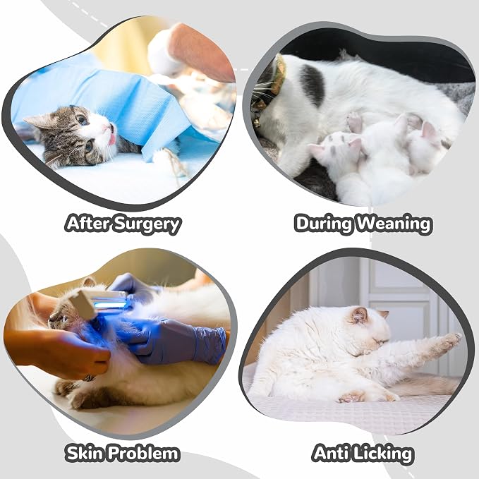 PUMYPOREITY Cat Recovery Suit for Hind Legs, Cat Surgical Spay Suit - Image 5