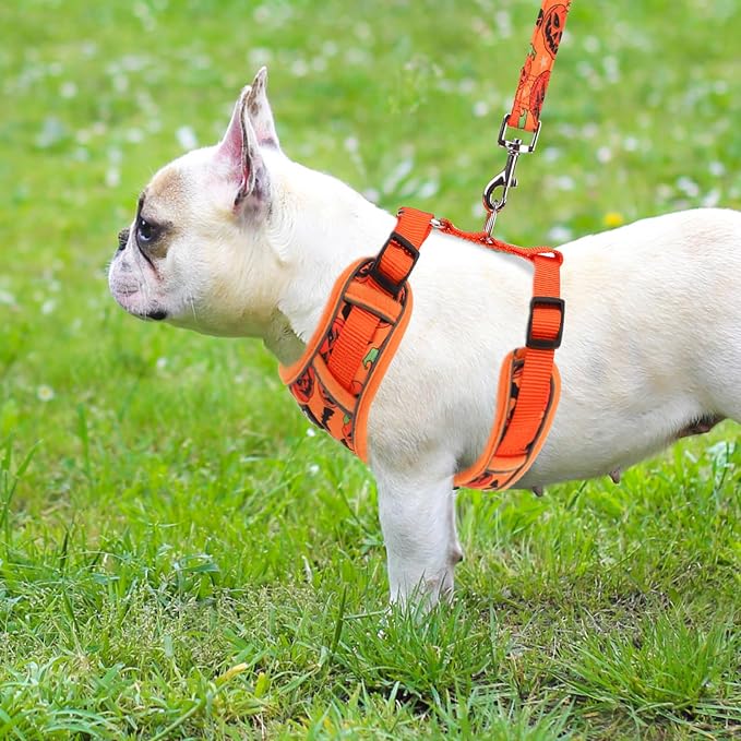 PUPTECK Halloween Small Dog Harness and Leash Set, No Pull Adjustable Puppy Cat - Image 6