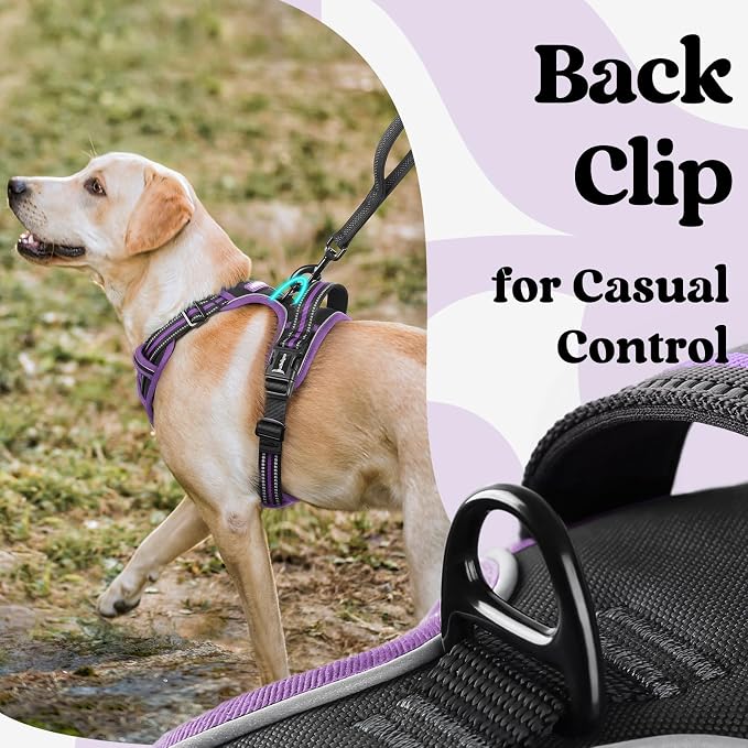 rabbitgoo Dog Harness for Large, No Pull Pet Harness - Image 5