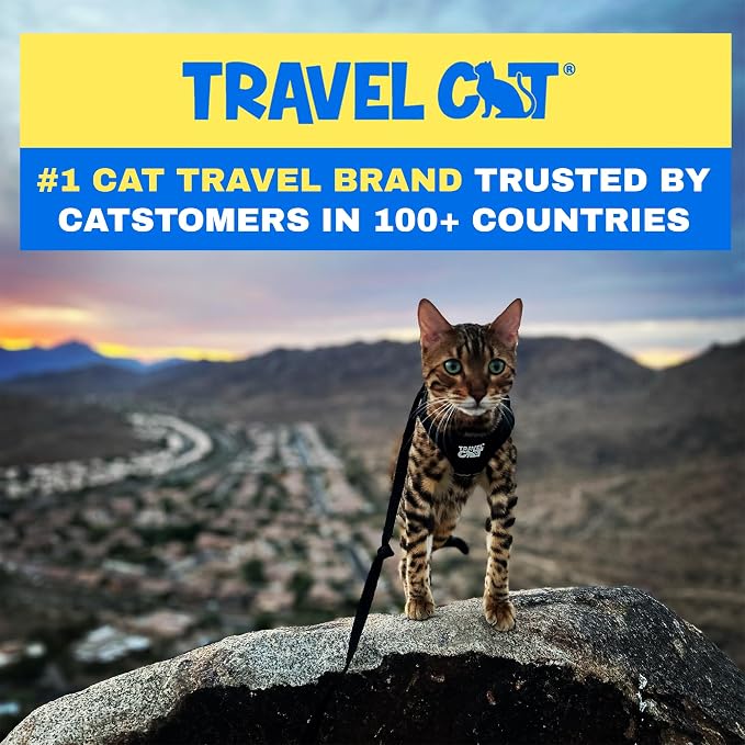 Travel Cat Harness and Leash Set - Image 6