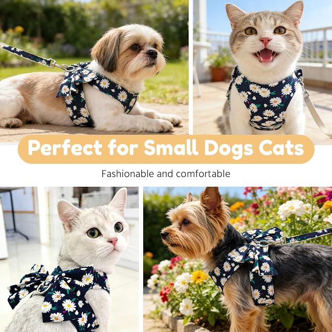 BAEJMJK Dog Harness and Leash Set - Image 7