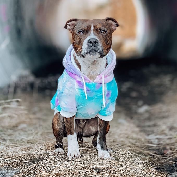 Spark Paws Dog Hoodie – Premium Dog Sweater - Image 3