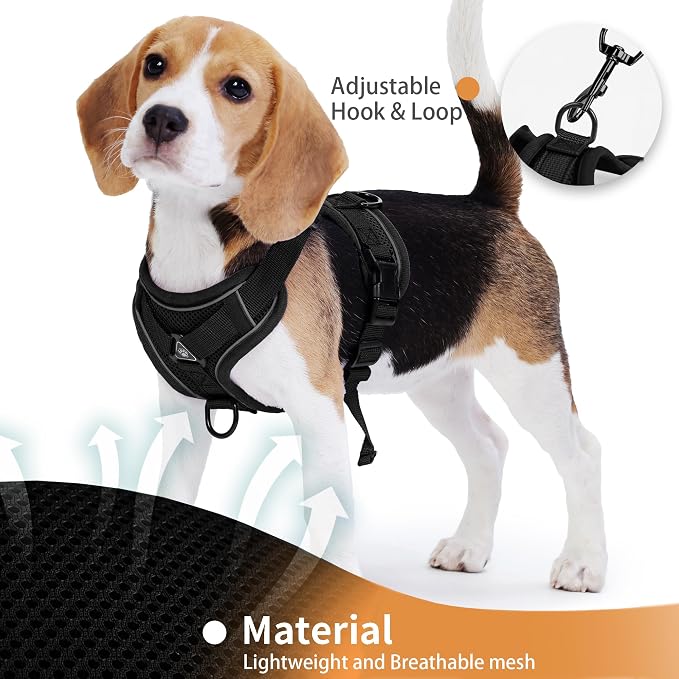 No Pull Dog Harness with Leash Set - Image 4