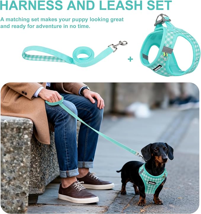 AIITLE No Pull Dog Harness and Leash Set, Step in No Chock Soft Mesh Dog - Image 2