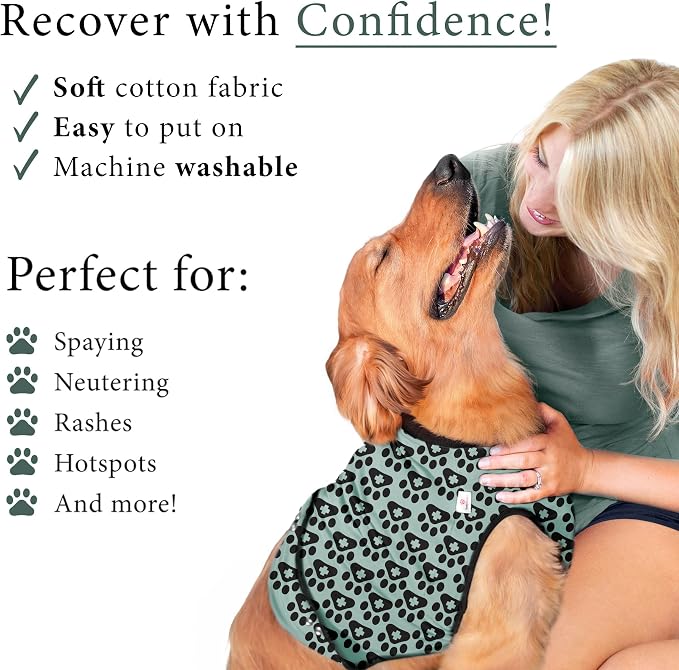BellyGuard Dog Surgery Recovery Suit, Dog Onesie - Image 4