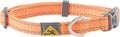 Browning Classic Preformance Webbing Pet Collar, Fully Adjustable, Available in by BrowningLifestyle