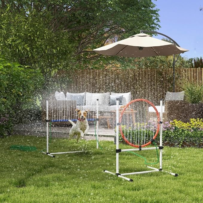 3 Piece Dog Agility Training Equipment Set by anwickjeff