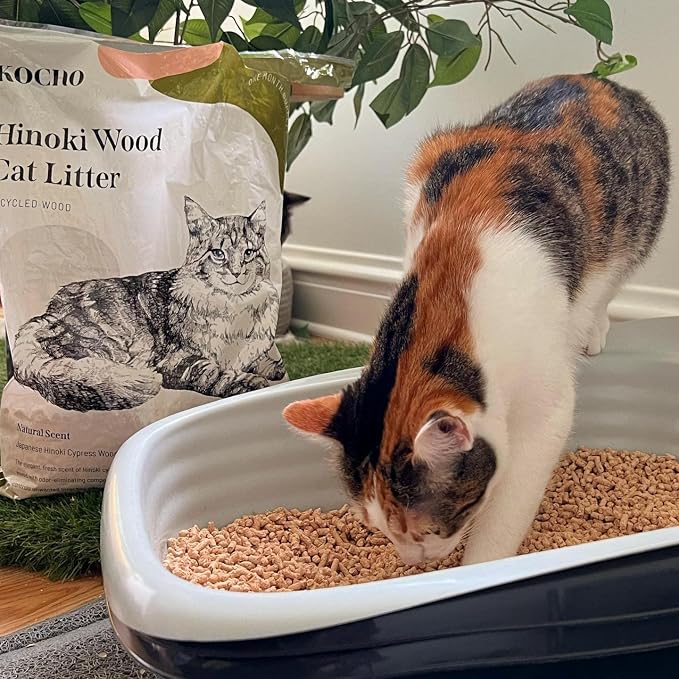 KOCHO Hinoki Wood Cat Litter, Ultra Lightweight, Natural Aroma of Hinoki - Image 4