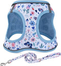 Step in Dog Harness and Leash Set, Reflective Adjustable No Pull Dog Harness by Mihqy