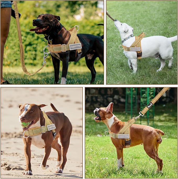 SlowTon No Pull Dog Harness - Image 8