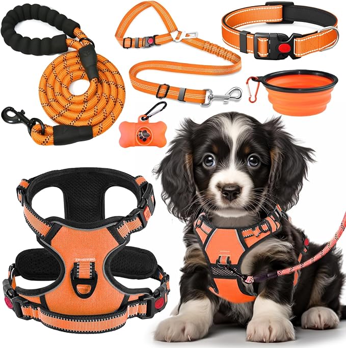 No Pull Dog Harness, Collar & Leash Set | Includes Dog Seat Belt, Collapsible by Lovebegetslove