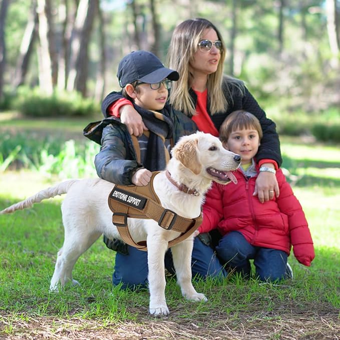 VOOPET Emotional Support Dog Harness, Professional Service Dog Vest - Image 3