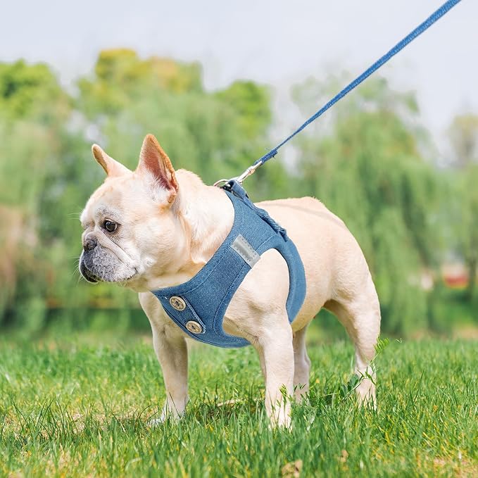 PUPTECK Dog Harness and Leash Set - Image 7