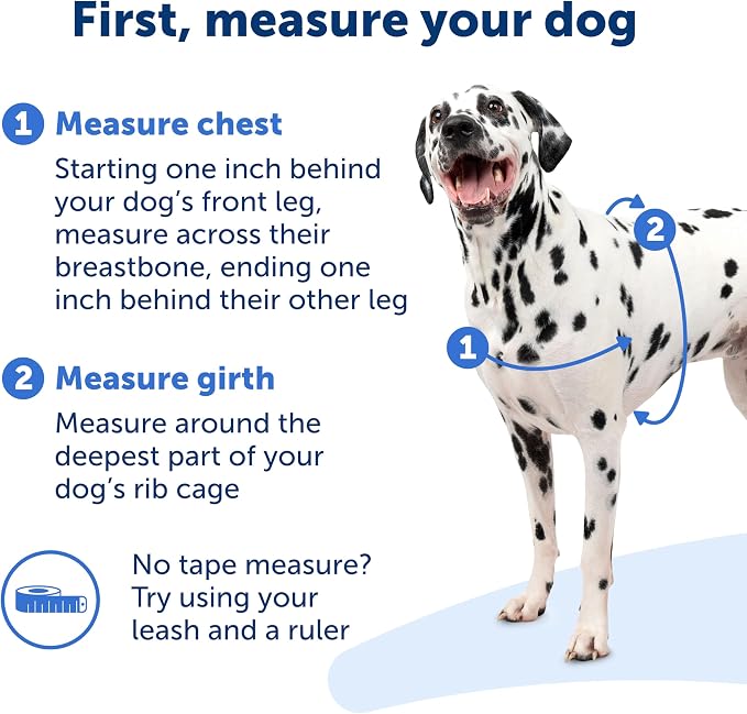 PetSafe Easy Walk Harness for Dogs - Image 4