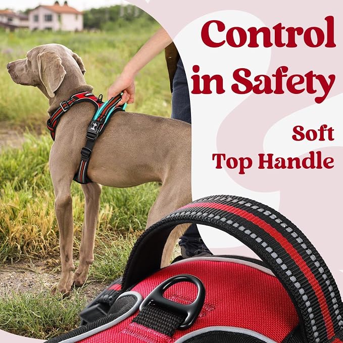 rabbitgoo Dog Harness Medium Sized, No Pull Pet Harness - Image 5
