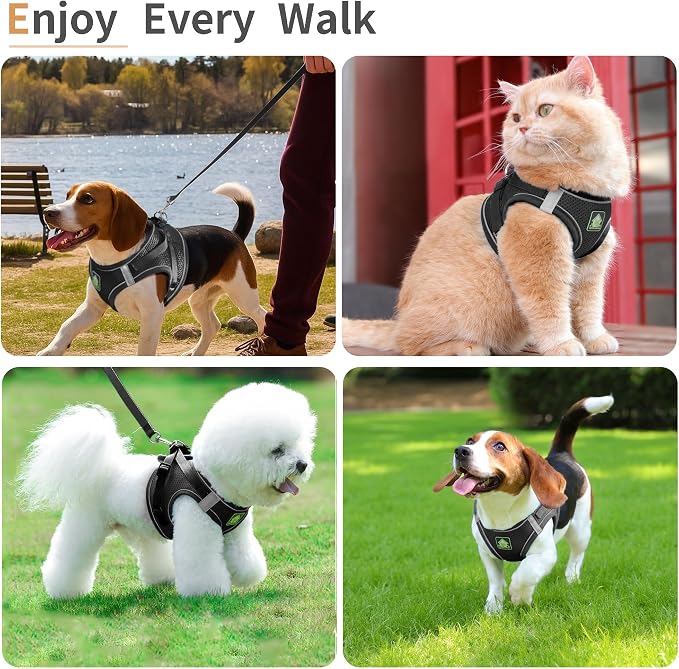 Step in Dog Harness with Leash Set, Adjustable Soft Padded and Breathable Mesh - Image 6