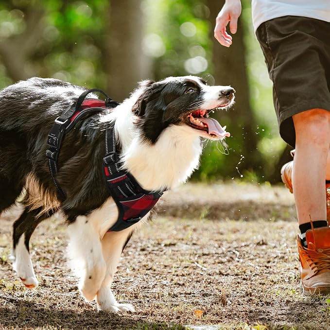 rabbitgoo Dog Harness No Pull - Image 8