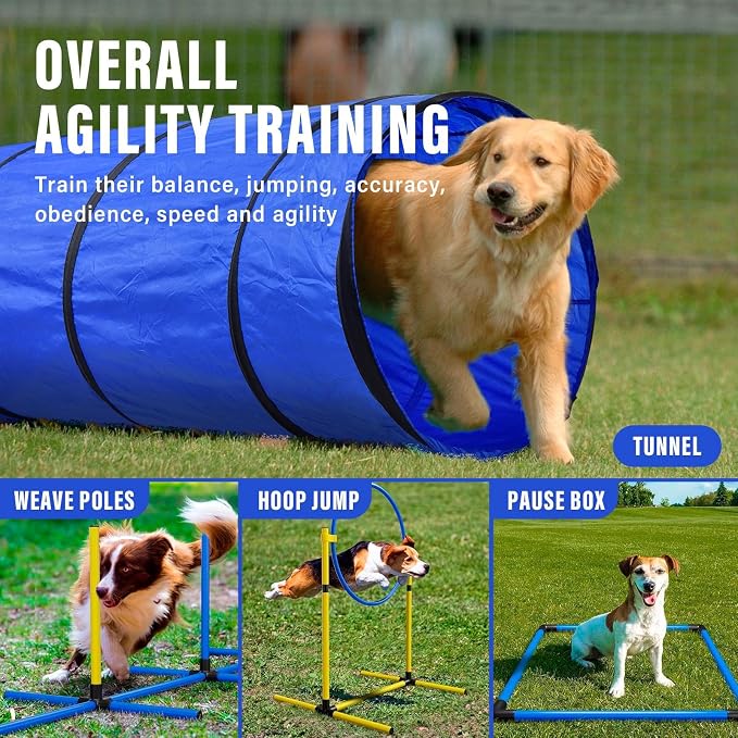 Dog Agility Training Equipment, Dog Agility Course Backyard Set - Image 4