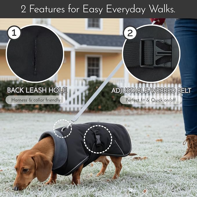 Waterproof & Windproof Dachshund Coat - Image 6