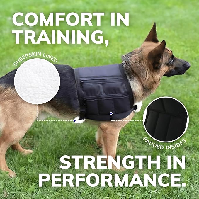 ActiveDogs Weighted Dog Vest - Image 8