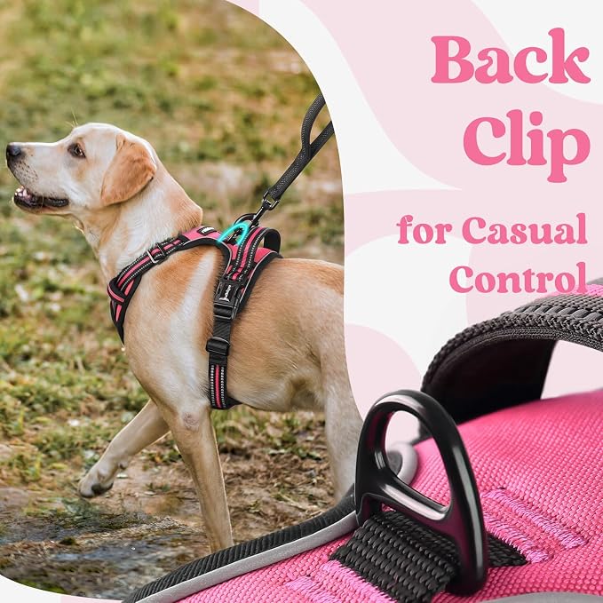 rabbitgoo Dog Harness for Large, No Pull Pet Harness - Image 5
