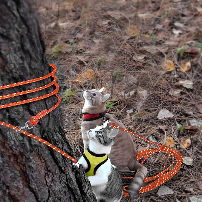 Rypet Reflective Cat Long Leash - 50 FT Escape Proof Walking Leads Yard Long - Image 6